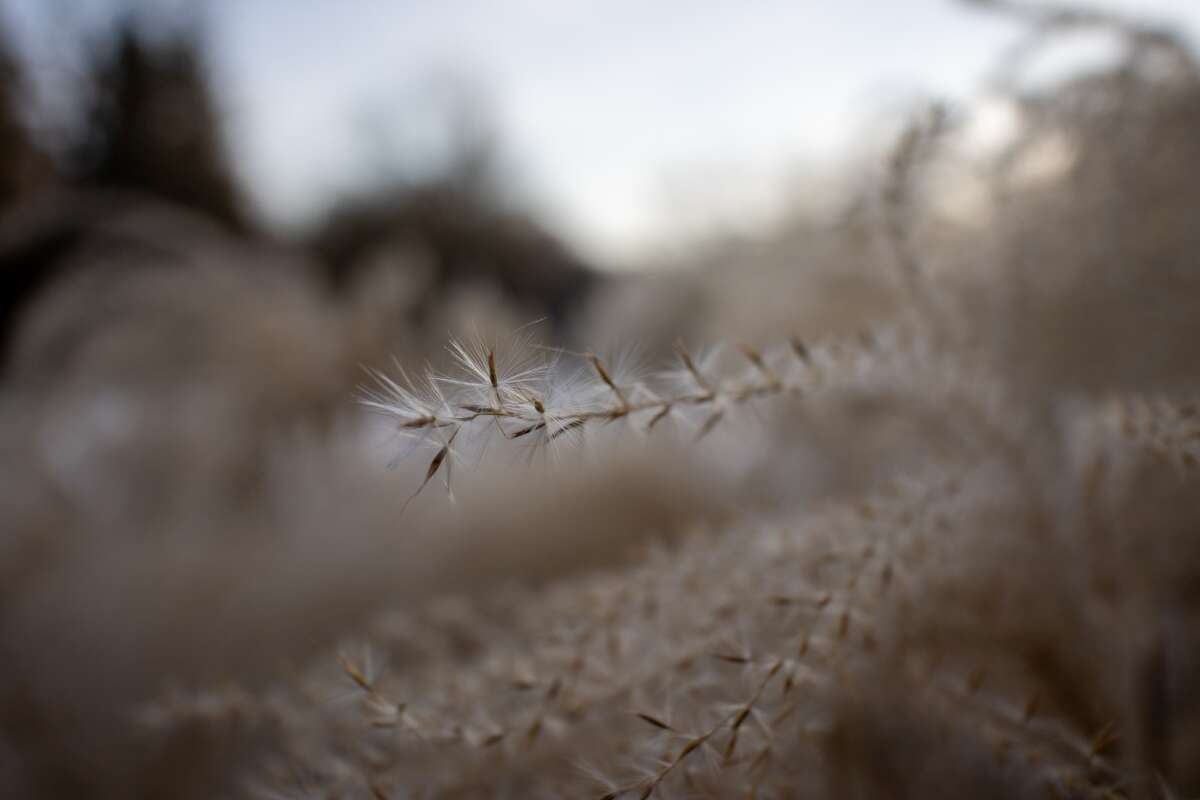 Recenzja Canon EOS M6 Mark II