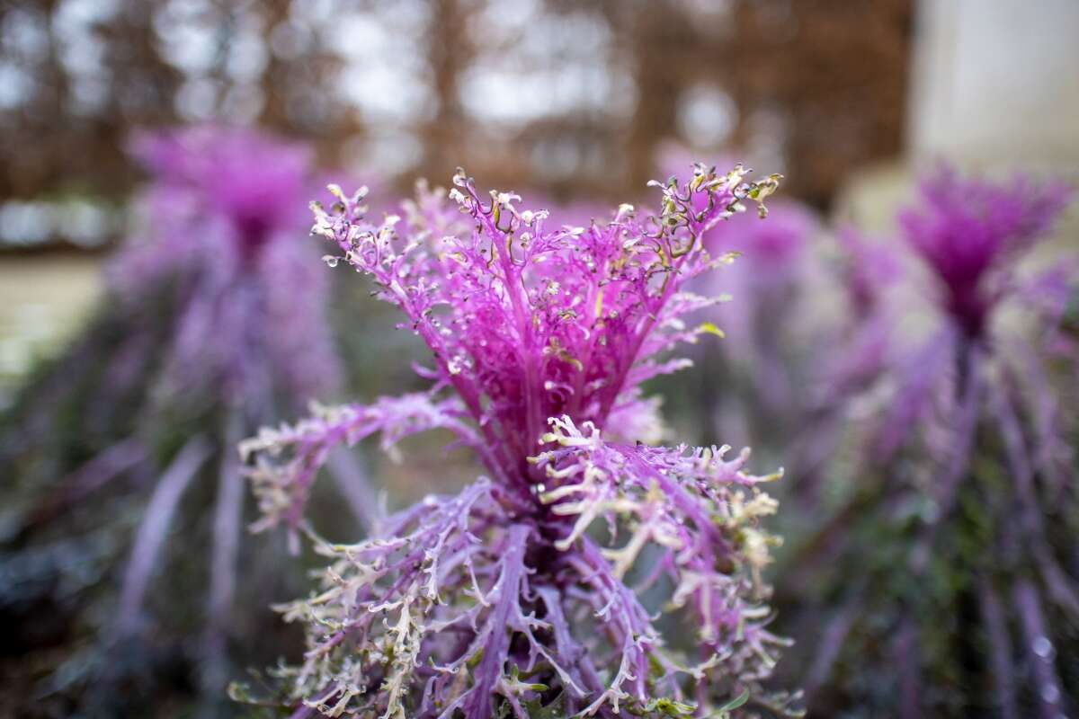 Recenzja Canon EOS M6 Mark II