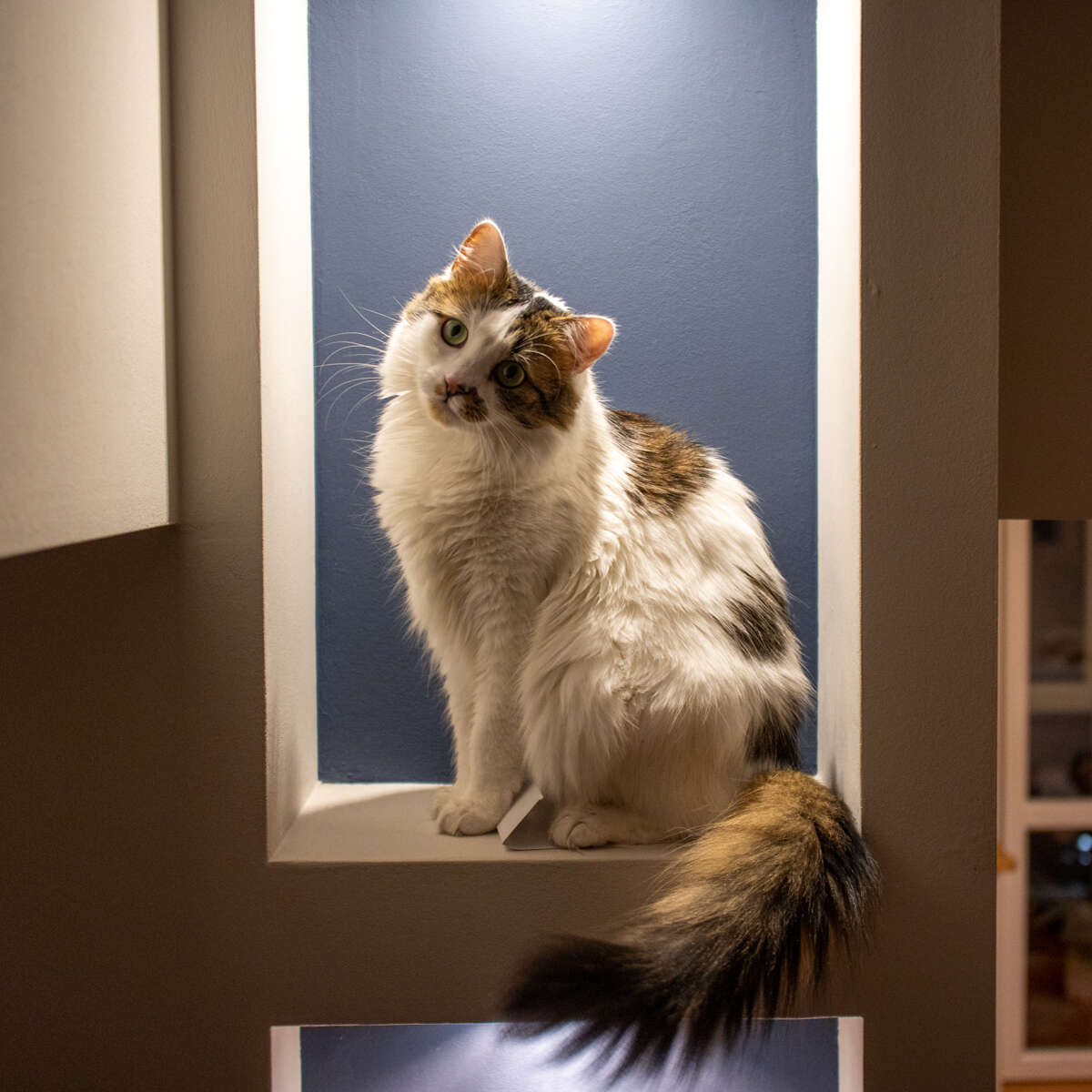 Recenzja Canon EOS M6 Mark II