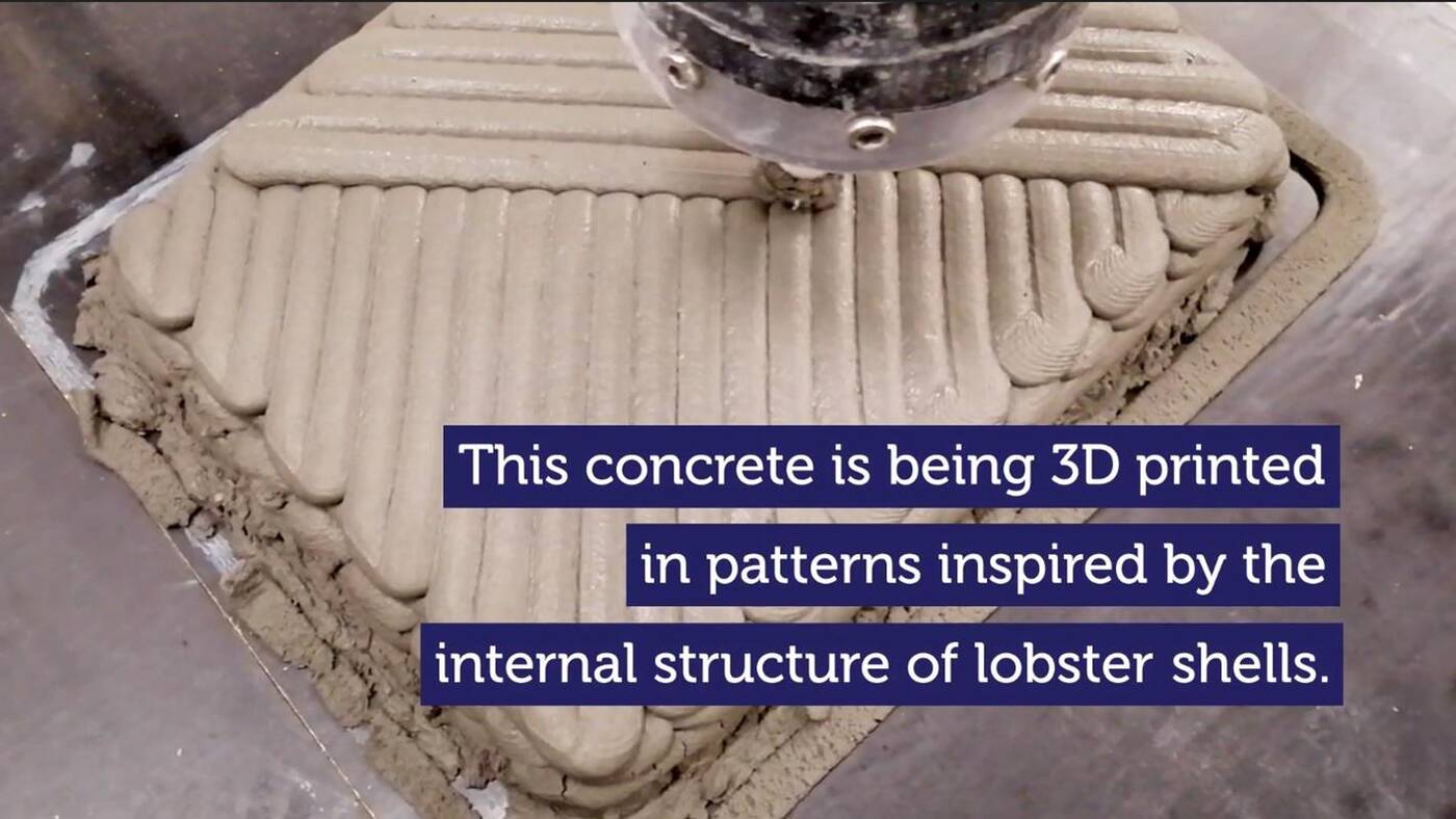 Pancerz homara, wytrzymalszego betonu 3D