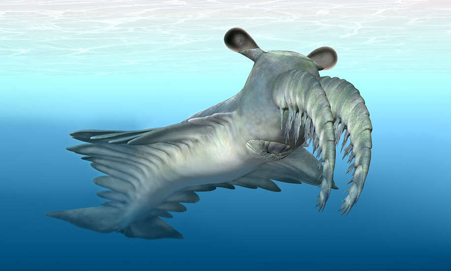 Ten potwór morski zamieszkiwał Ziemię 500 milionów lat temu