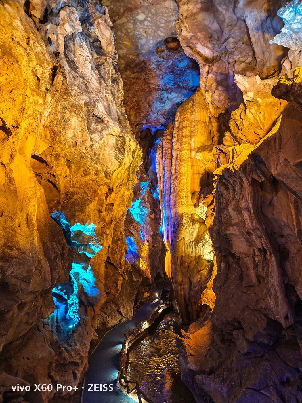 vivo x60 pro+ zdjęcia