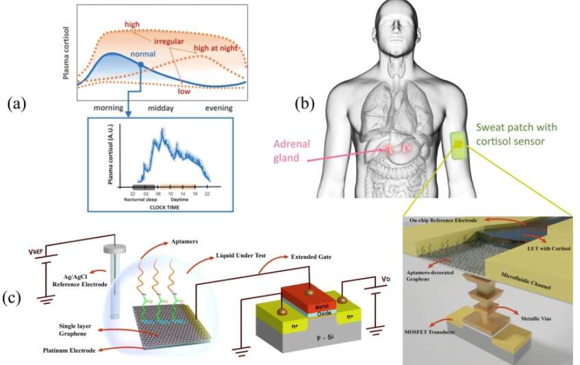 Pierwszy taki czujnik stresu, który bierze pod uwagę czas