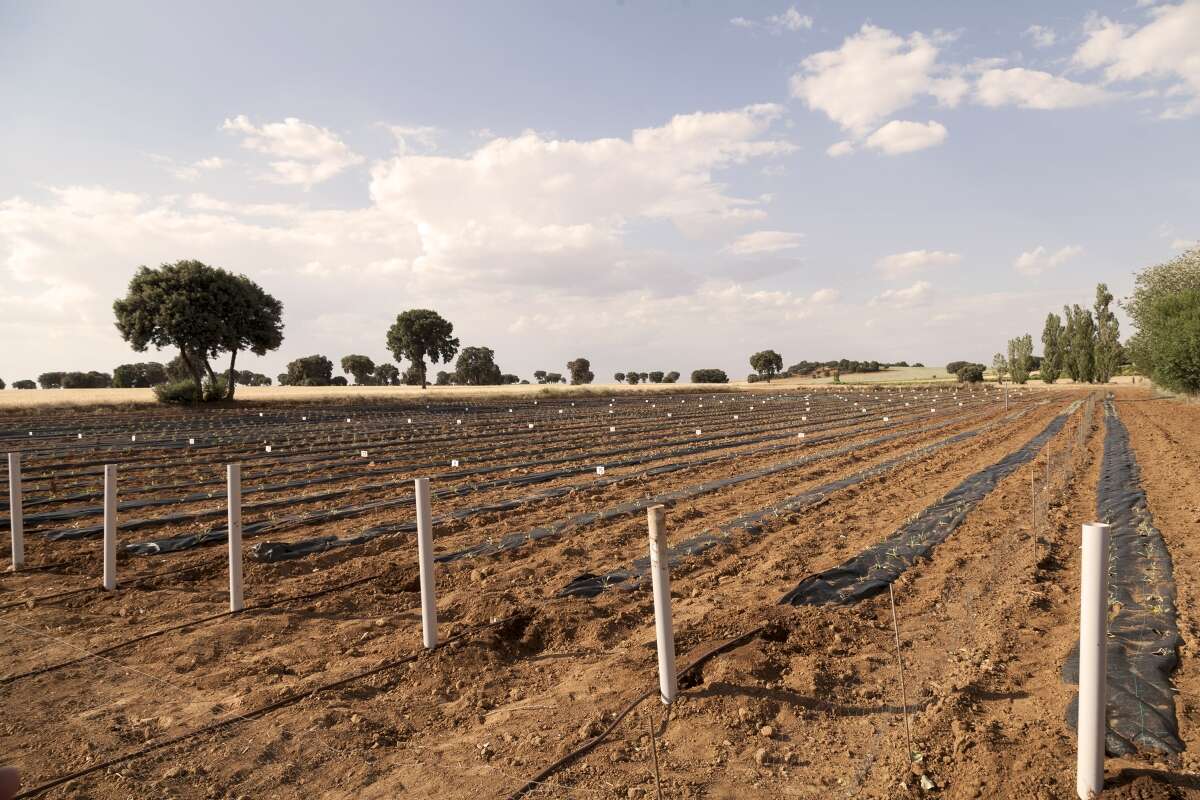 nokian tyres centrum testowe