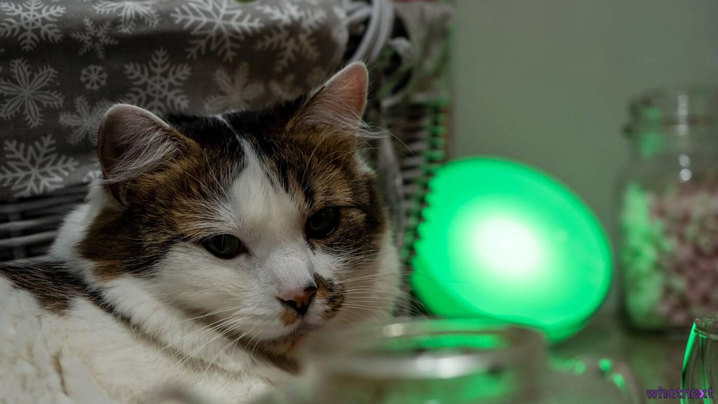 Inteligentne oświetlenie w kuchni – czy ma sens?