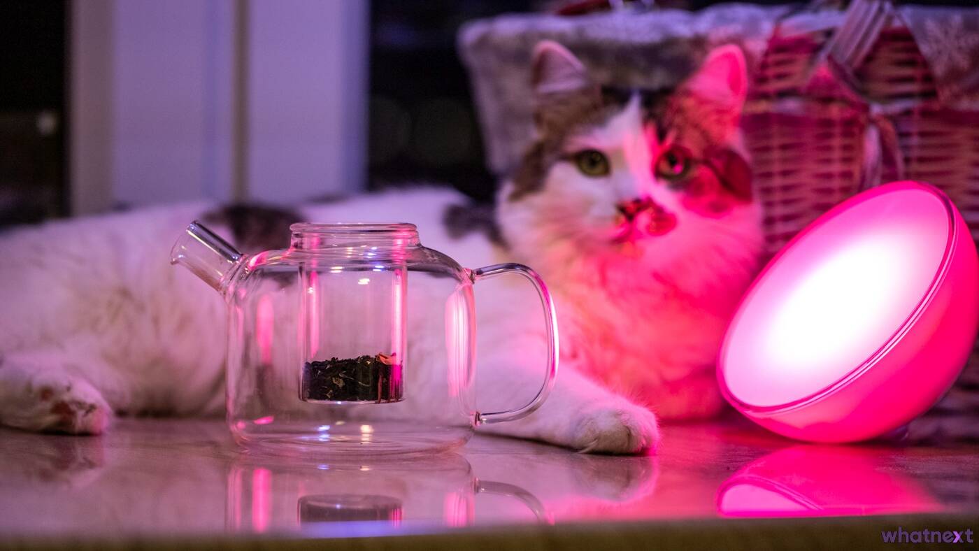 Inteligentne oświetlenie w kuchni – czy ma sens?