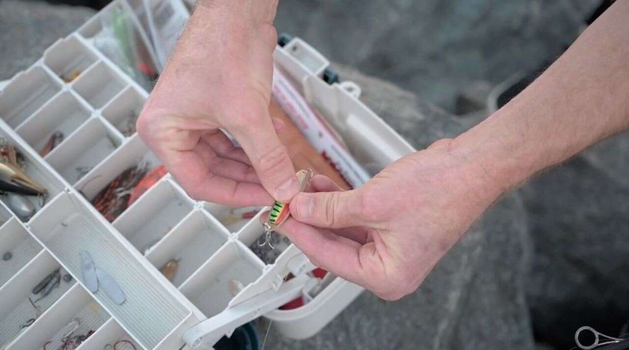 Ryby nie biorą? Sięgnijcie po te modularne błystki Switchblade