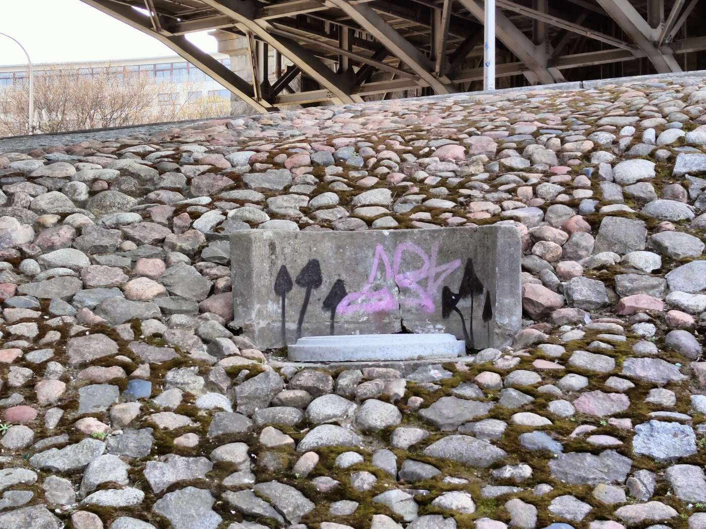 realme 8 Pro - dobry aparat, za dobre pieniądze