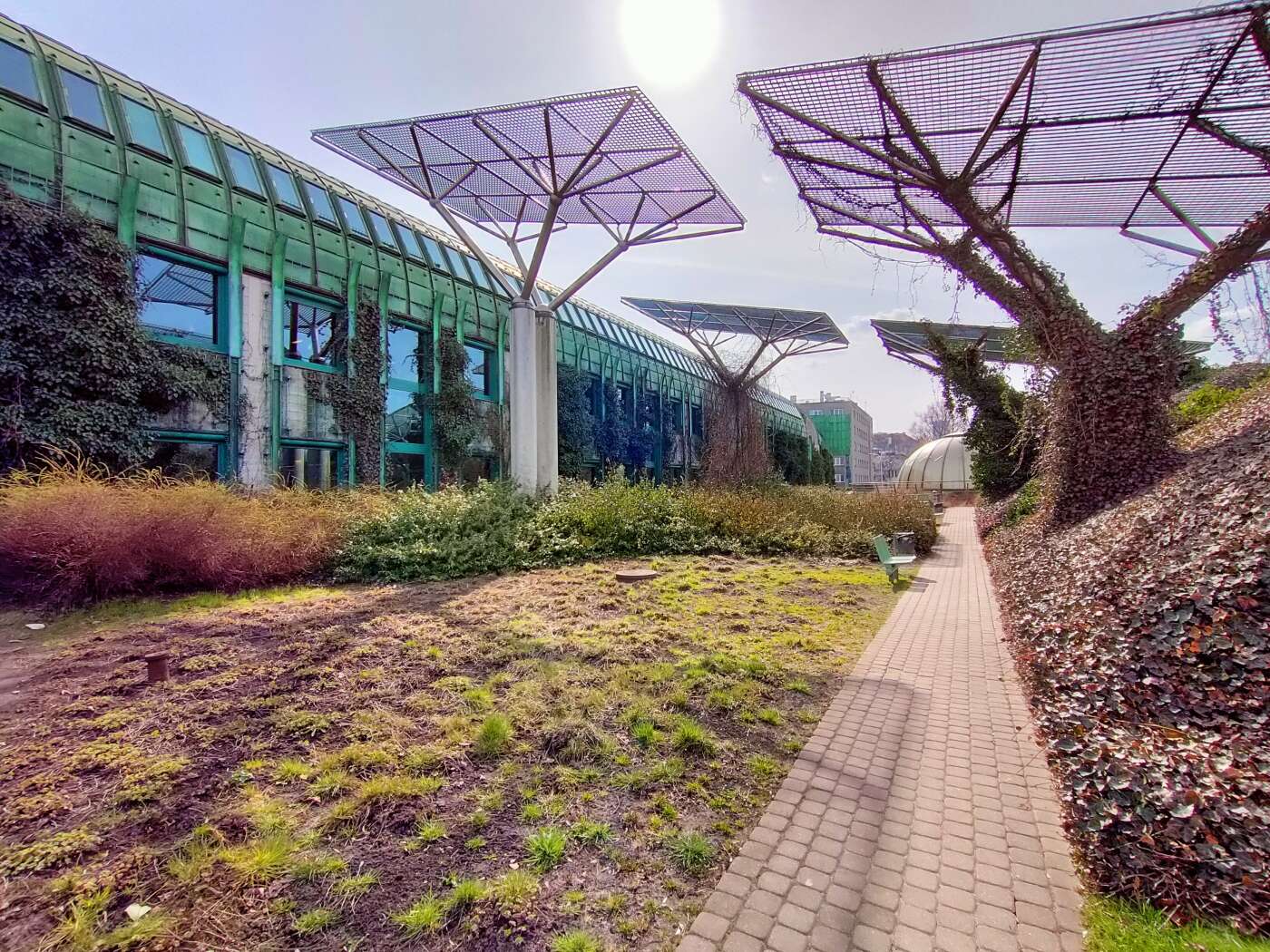 realme 8 Pro - dobry aparat, za dobre pieniądze