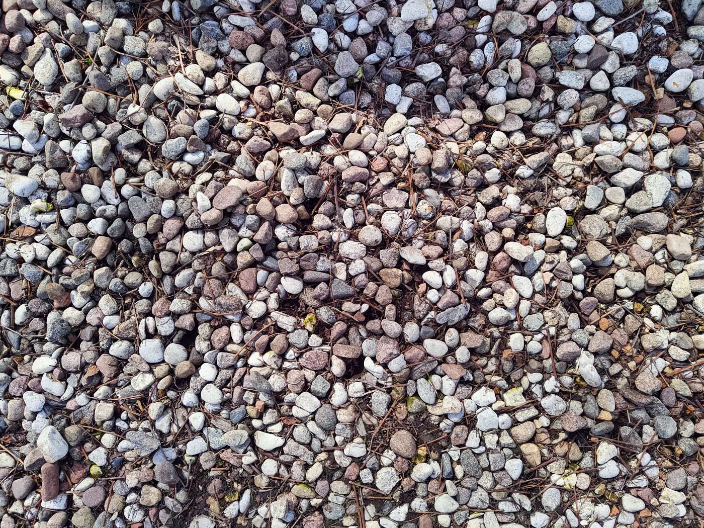 realme 8 Pro - dobry aparat, za dobre pieniądze