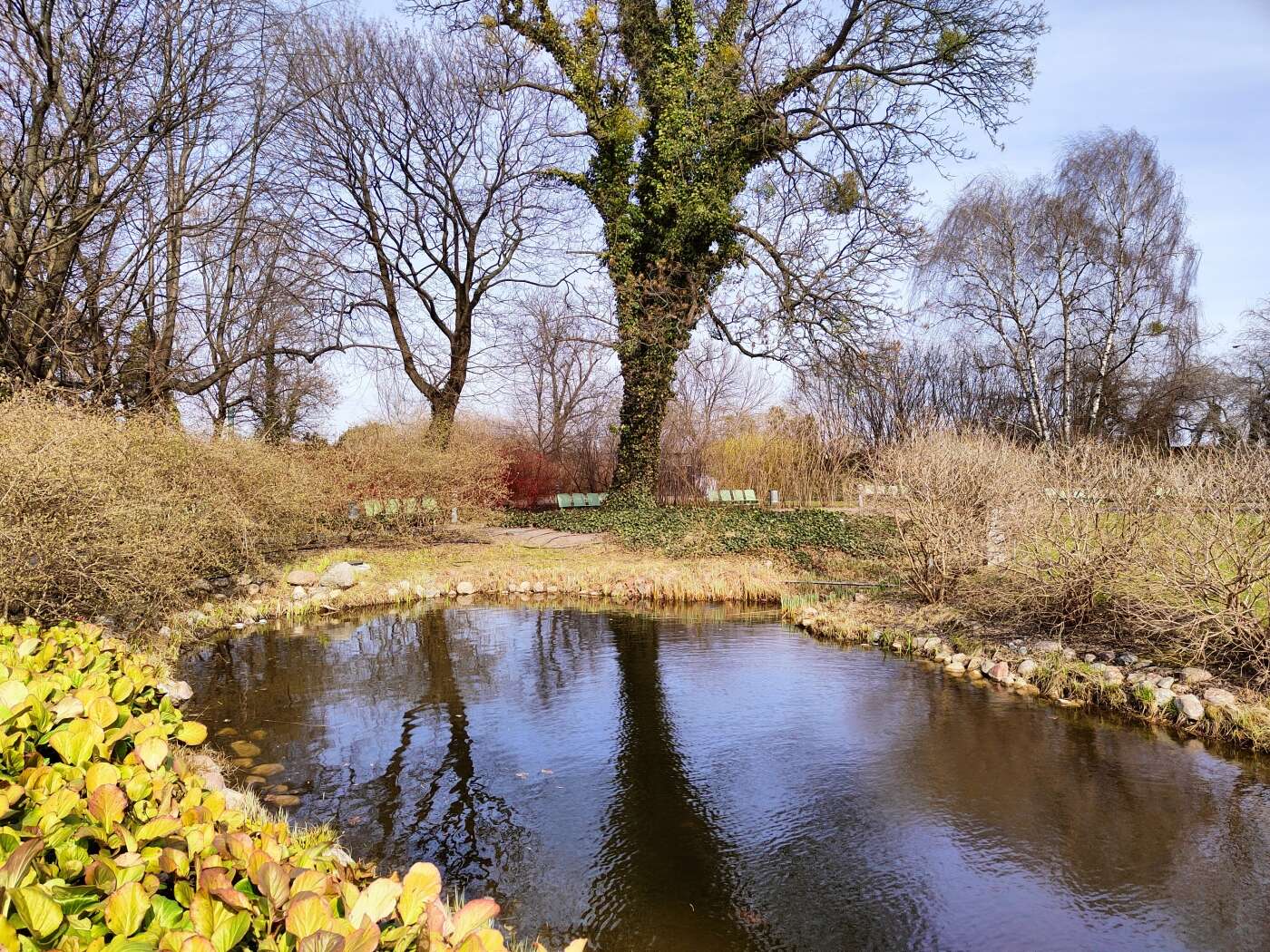 realme 8 Pro - dobry aparat, za dobre pieniądze