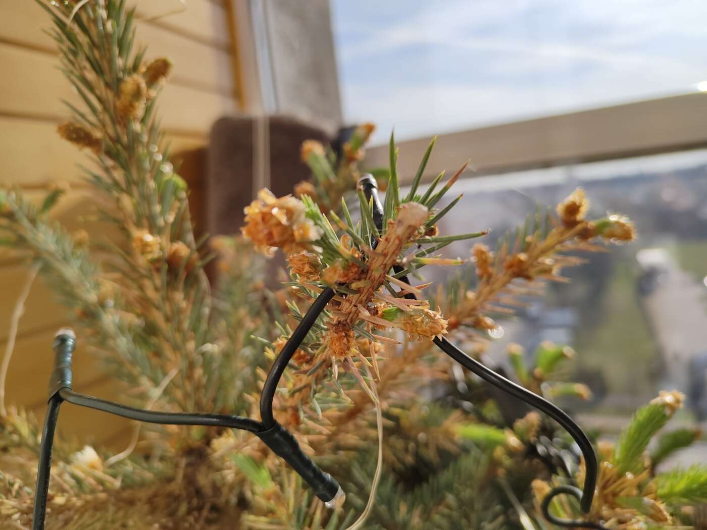 realme 8 Pro - dobry aparat, za dobre pieniądze