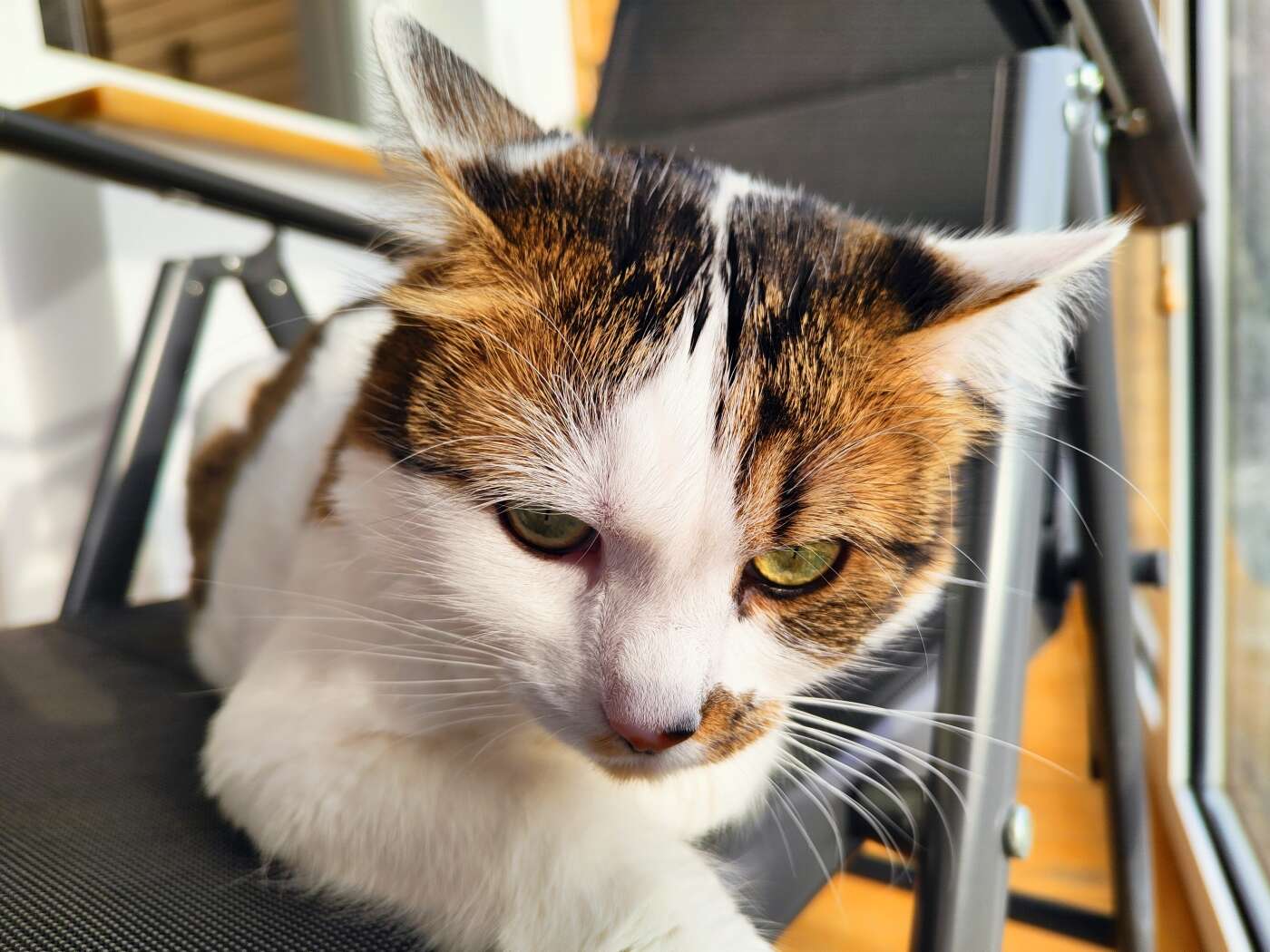 realme 8 Pro - dobry aparat, za dobre pieniądze