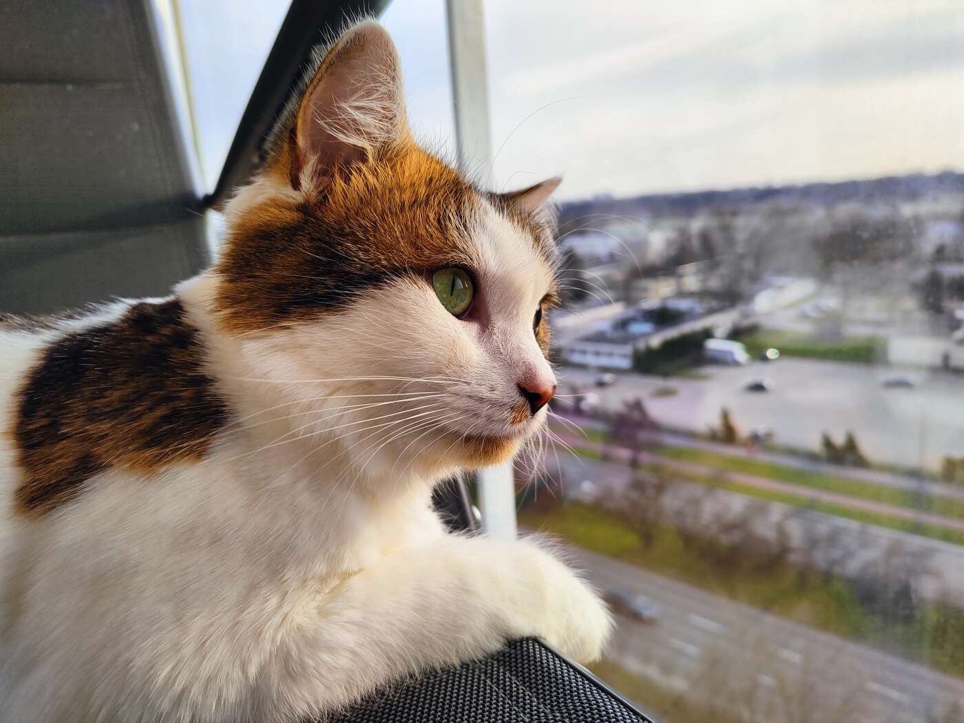 realme 8 Pro - dobry aparat, za dobre pieniądze