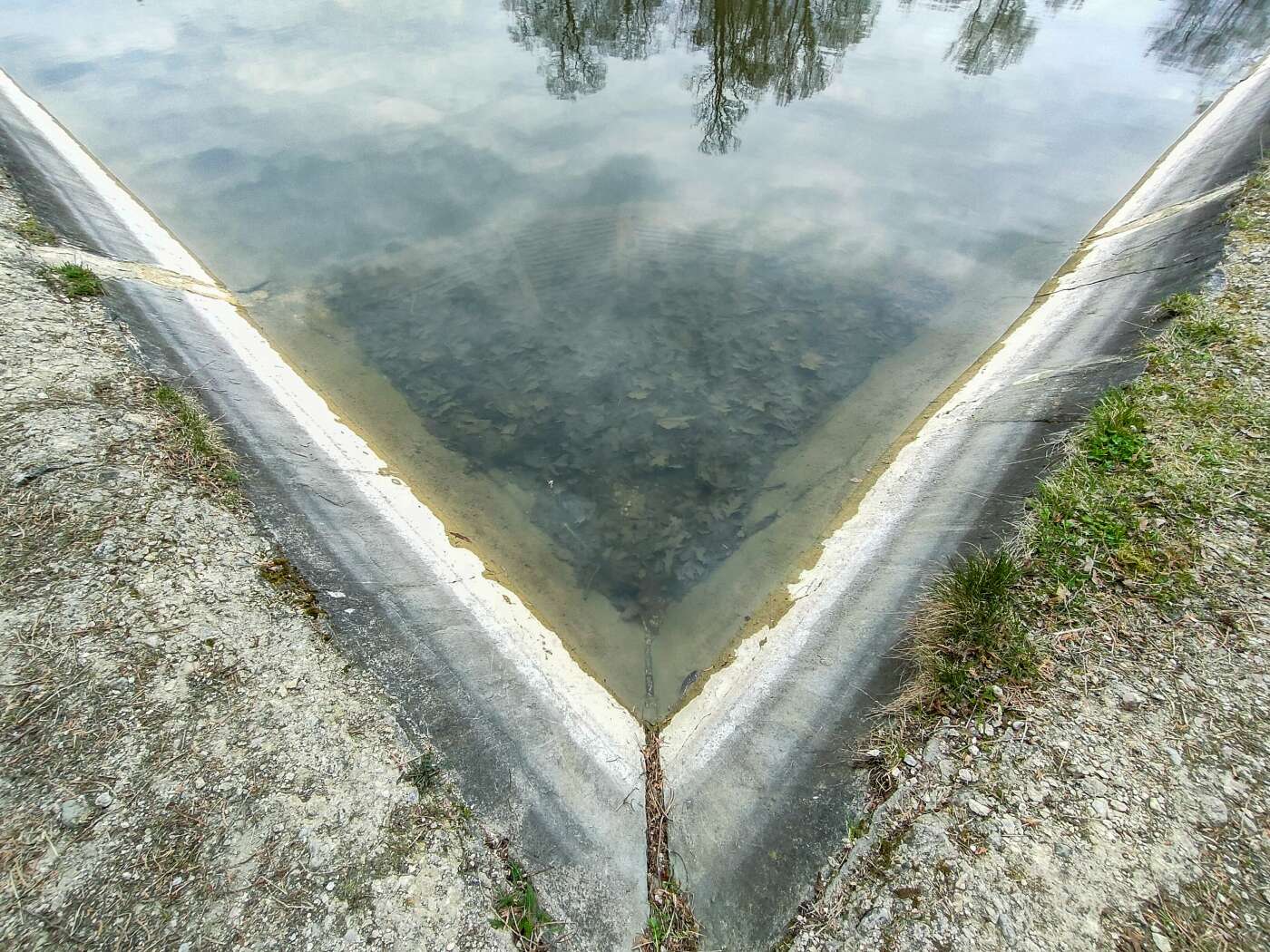 Z OPPO Reno5 5G można podbijać media społecznościowe