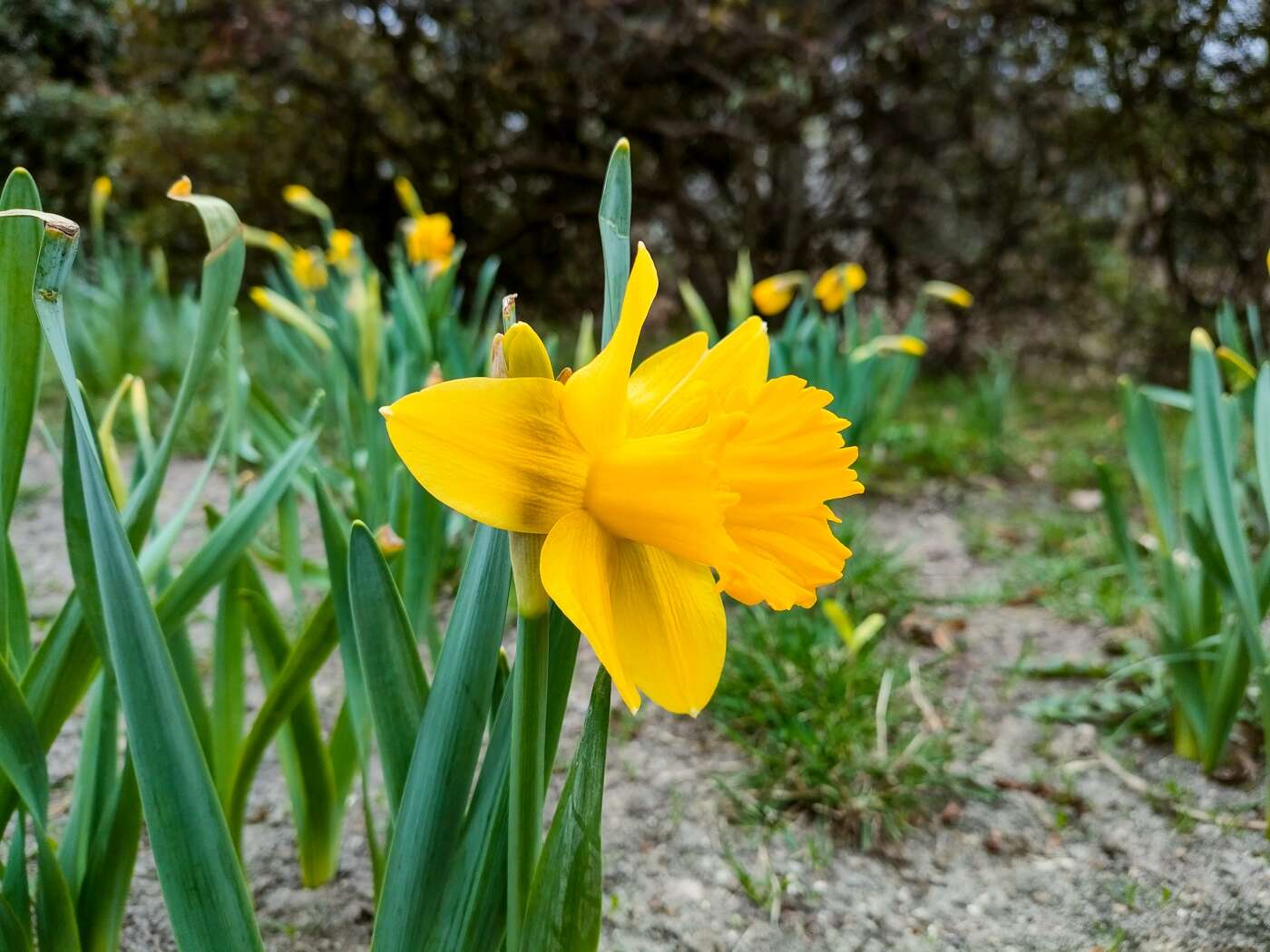 Z OPPO Reno5 5G można podbijać media społecznościowe