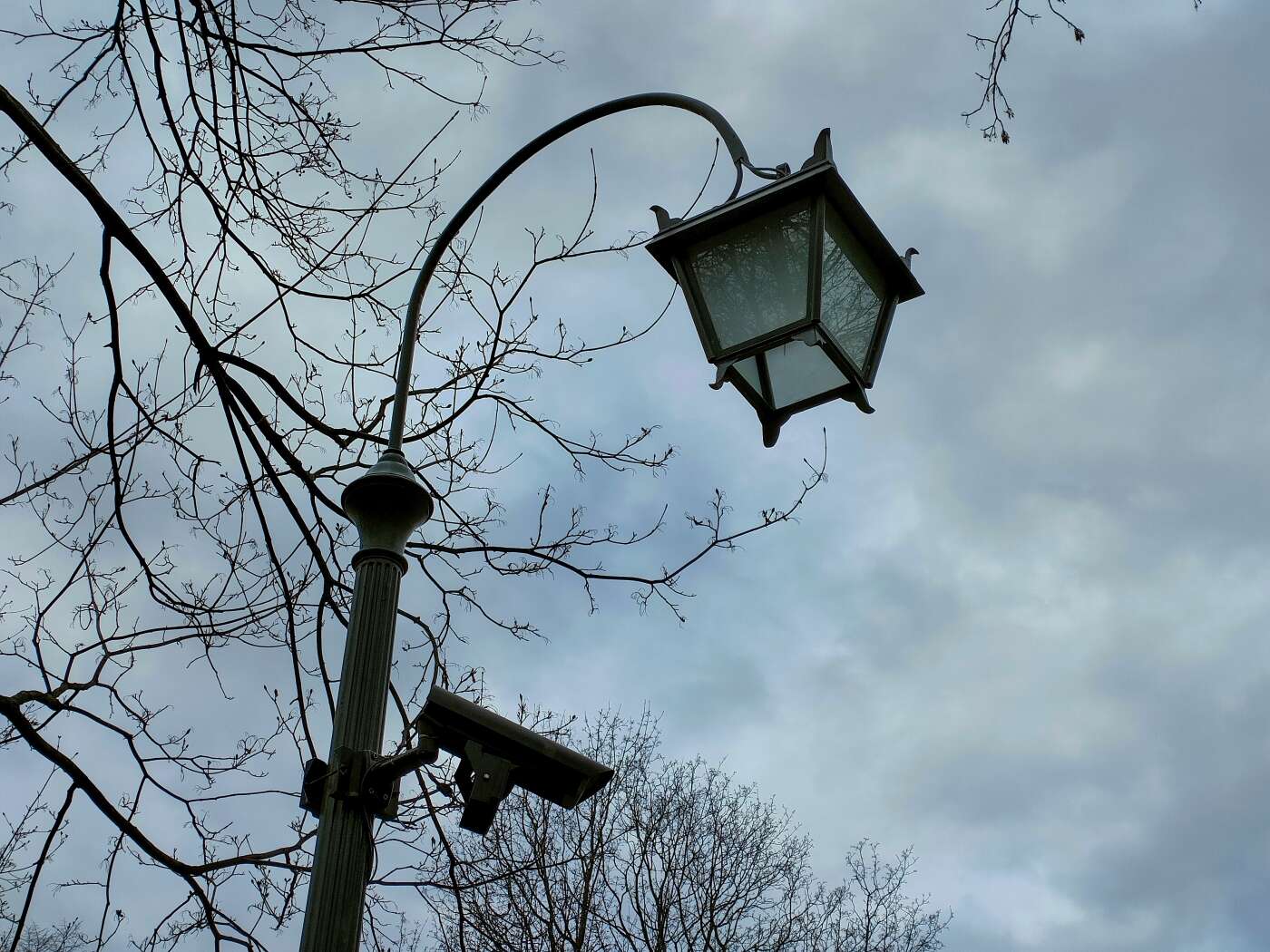 Z OPPO Reno5 5G można podbijać media społecznościowe