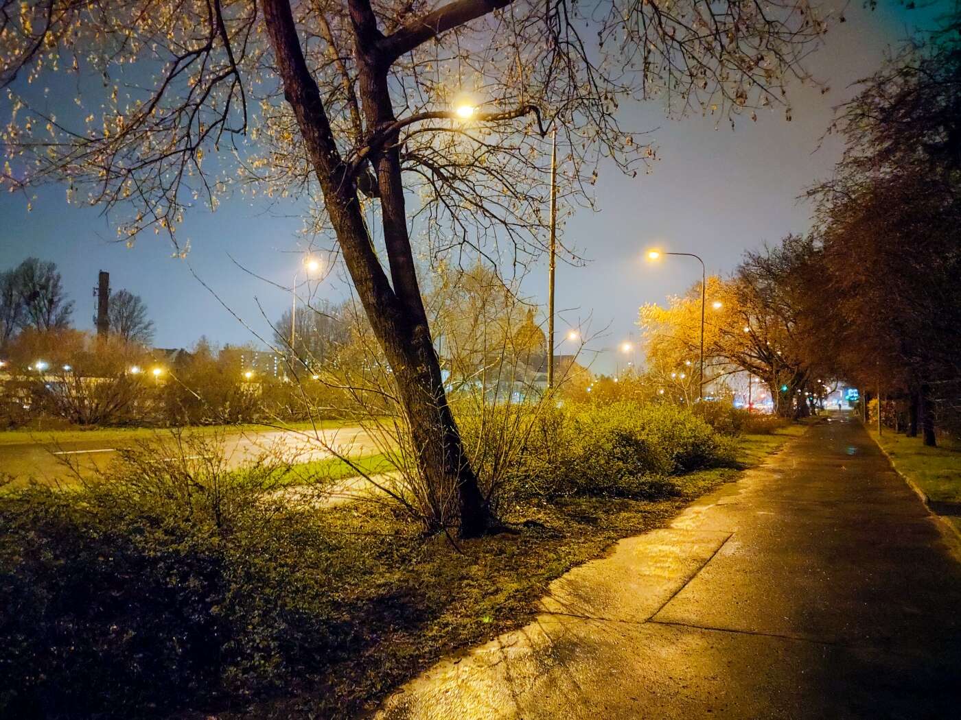 Z OPPO Reno5 5G można podbijać media społecznościowe