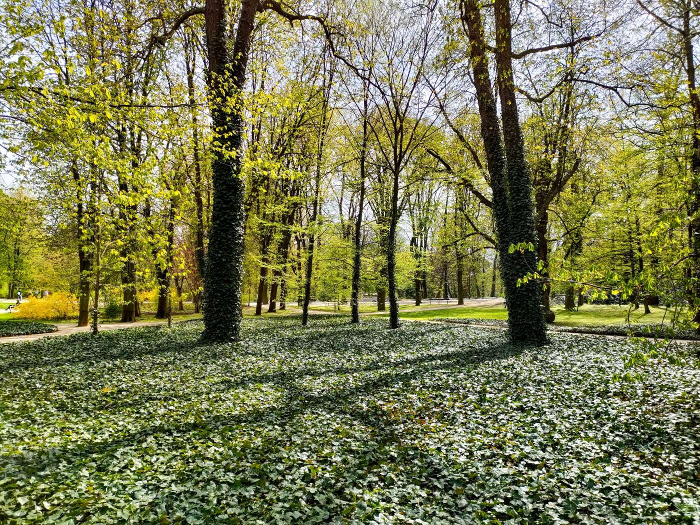 Z OPPO Reno5 5G można podbijać media społecznościowe