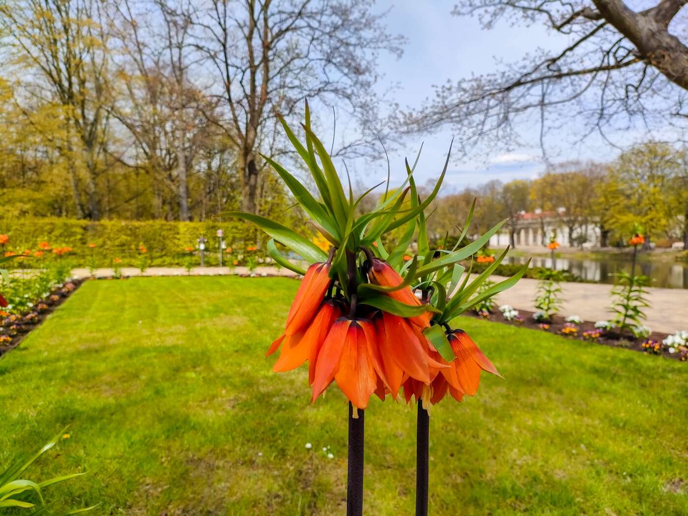 Z OPPO Reno5 5G można podbijać media społecznościowe