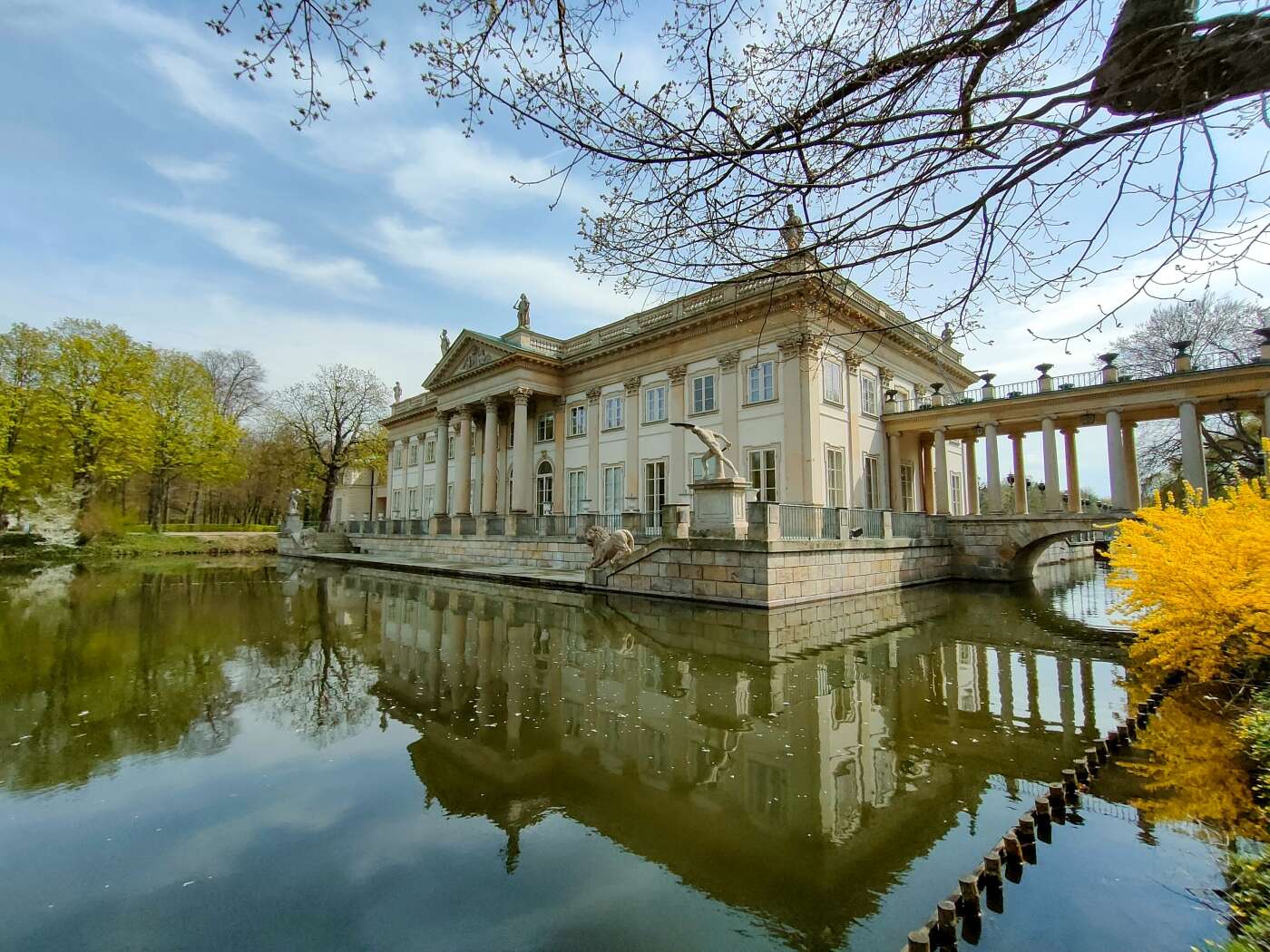 Z OPPO Reno5 5G można podbijać media społecznościowe