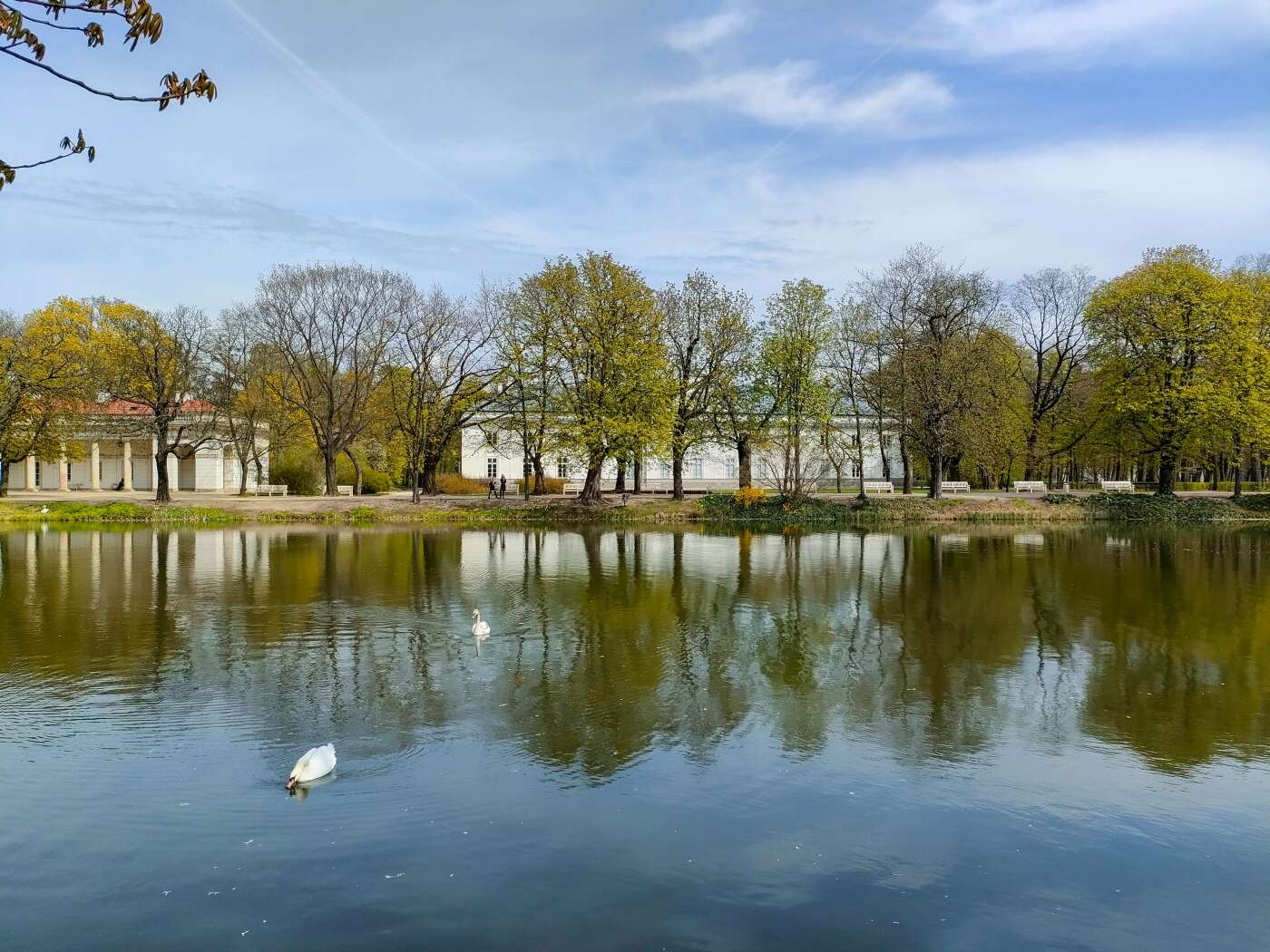 Z OPPO Reno5 5G można podbijać media społecznościowe