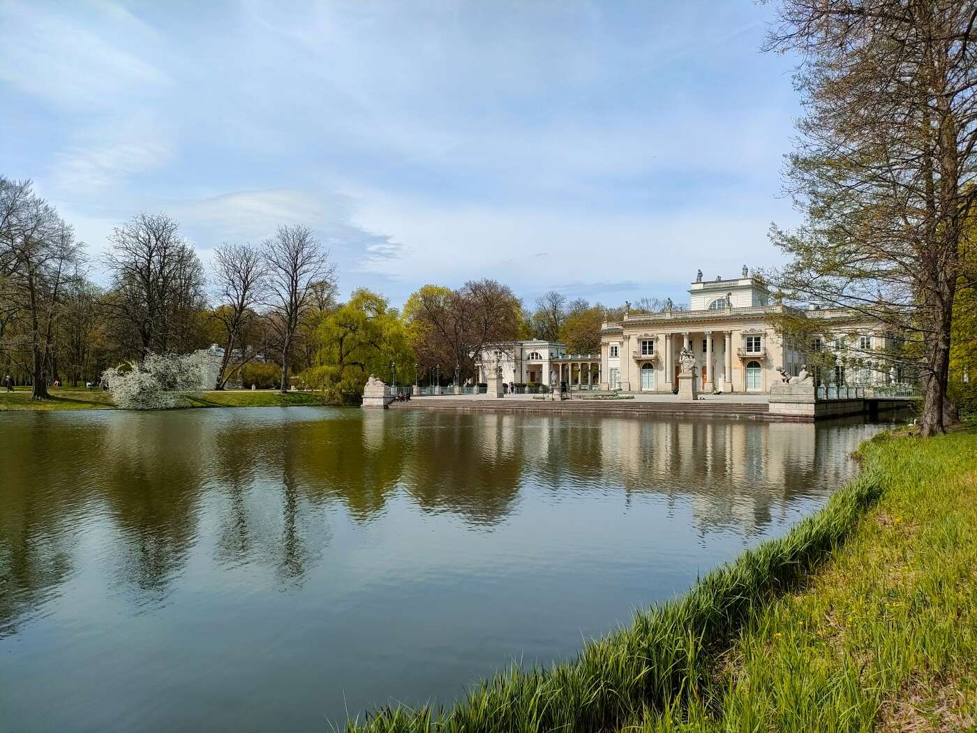 Z OPPO Reno5 5G można podbijać media społecznościowe