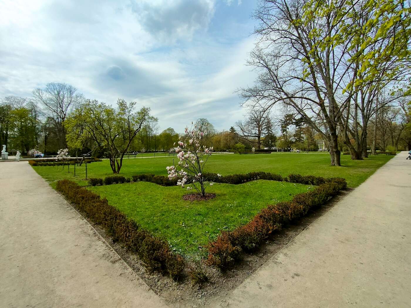 Z OPPO Reno5 5G można podbijać media społecznościowe