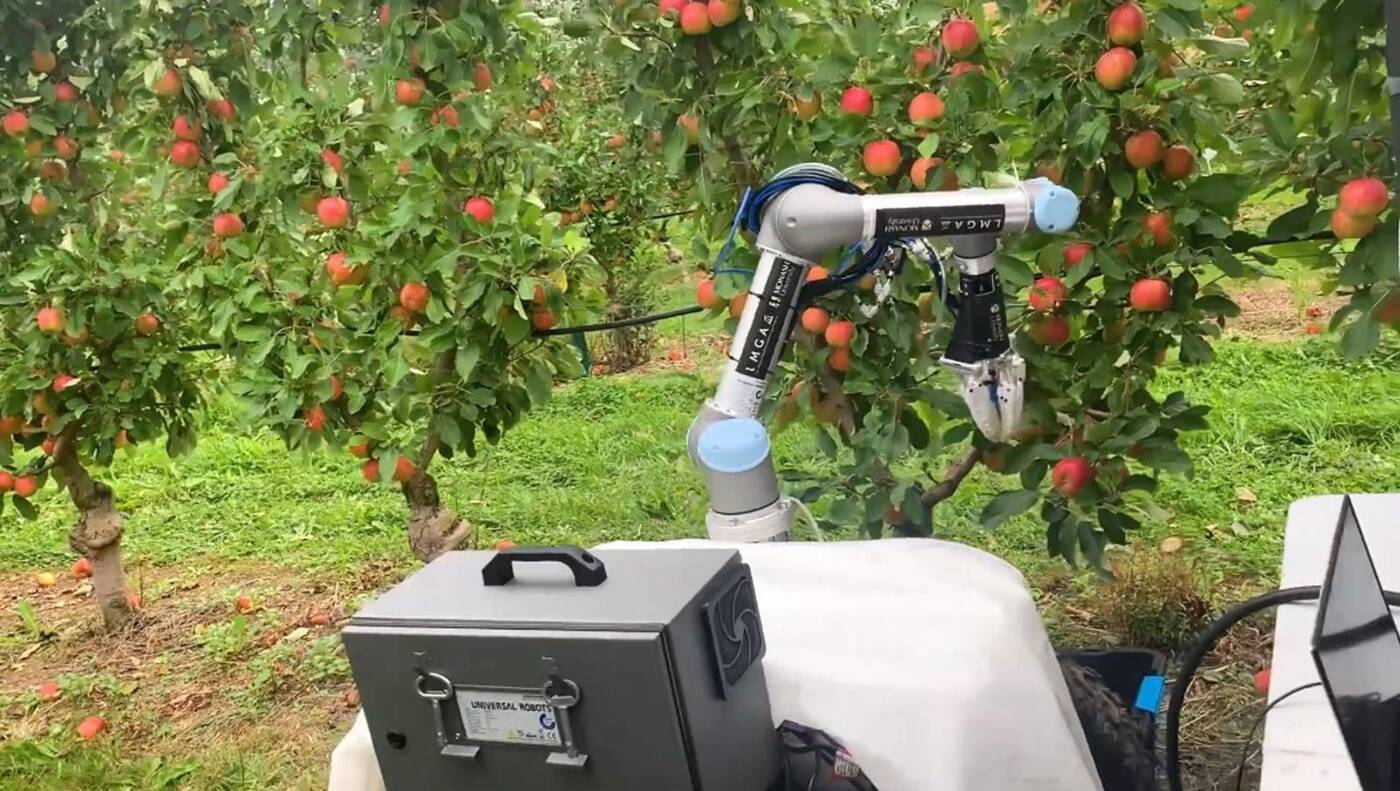Nowe autonomiczne roboty rolnicze. Jeden zabija chwasty, a drugi zbiera jabłka