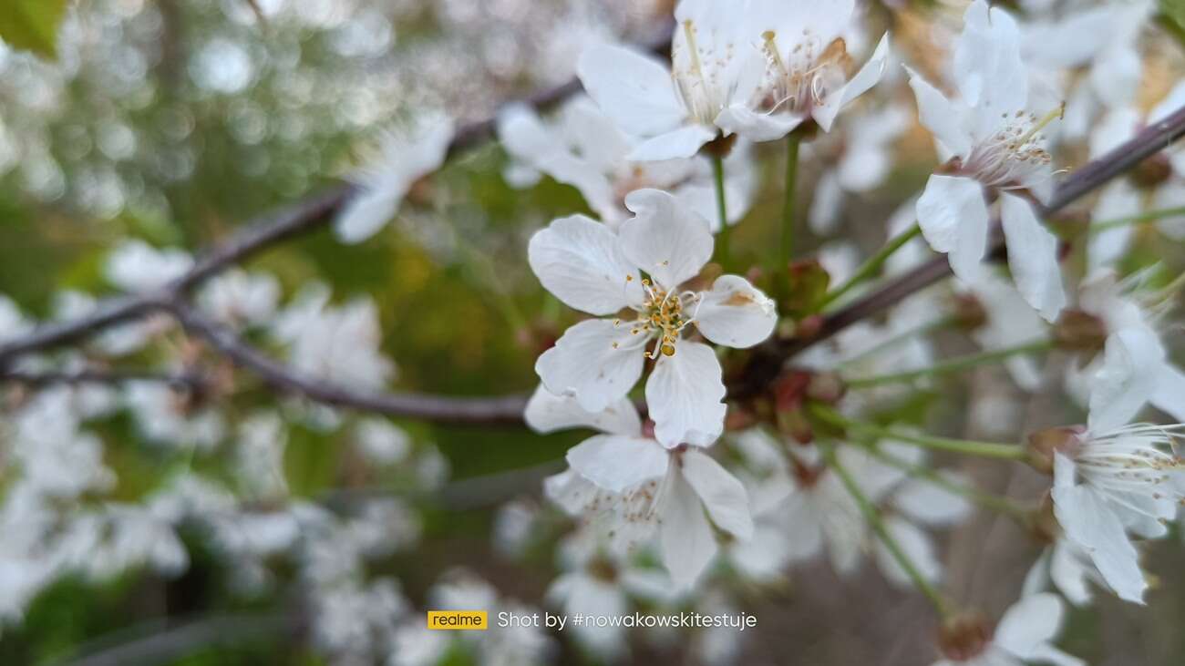 realme 8 5G – tani, praktyczny i z 5G!