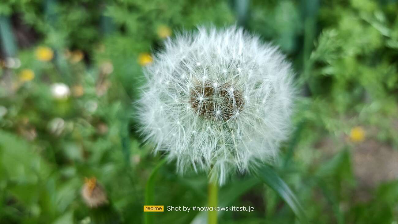 realme 8 5G – tani, praktyczny i z 5G!