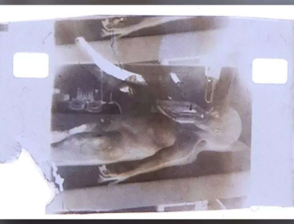 "Autopsja kosmity" trafi na aukcję. Chodzi o rzekome nagranie z 1947 roku