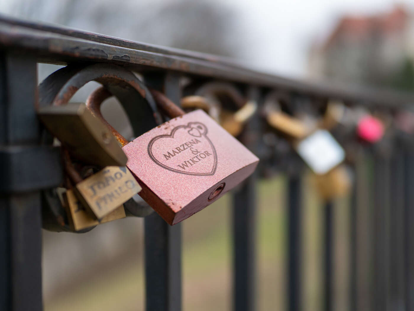 Recenzja M.Zuiko Pro ED 25mm F/1.2 i ED 40-150mm F/2.8 Pro. Pozycje obowiązkowe systemu Micro 4/3