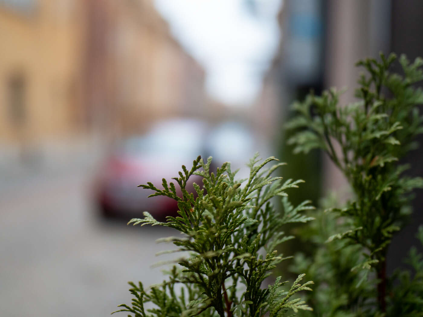 Recenzja M.Zuiko Pro ED 25mm F/1.2 i ED 40-150mm F/2.8 Pro. Pozycje obowiązkowe systemu Micro 4/3