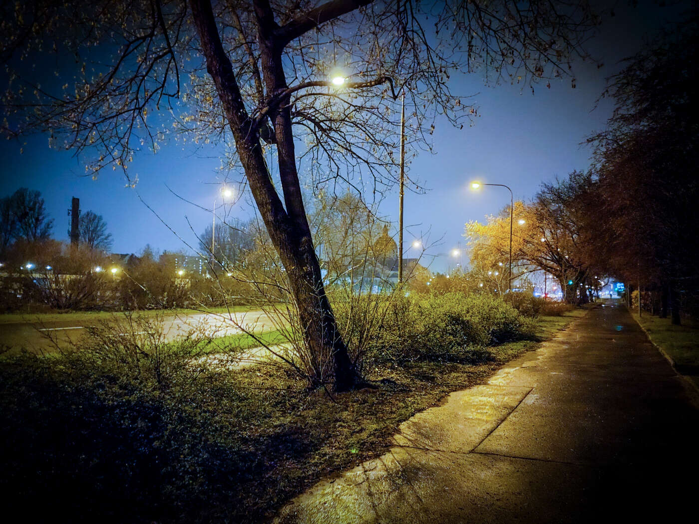 Z OPPO Reno5 5G można podbijać media społecznościowe