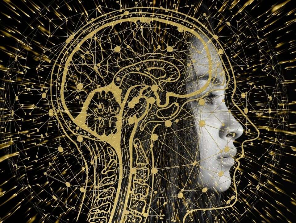 Jak działa i na czym polega sztuczna inteligencja?