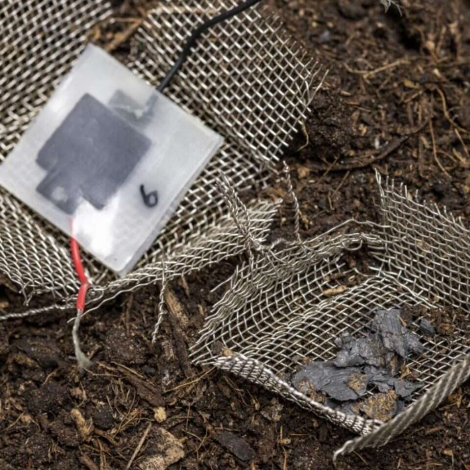 Biodegradowalny minikondensator, wybawienie od elektronicznych śmieci, minikondensator