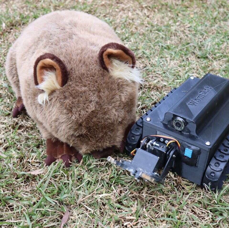 robota WomBot do badania norek wombatów, robot WomBot, WomBot,