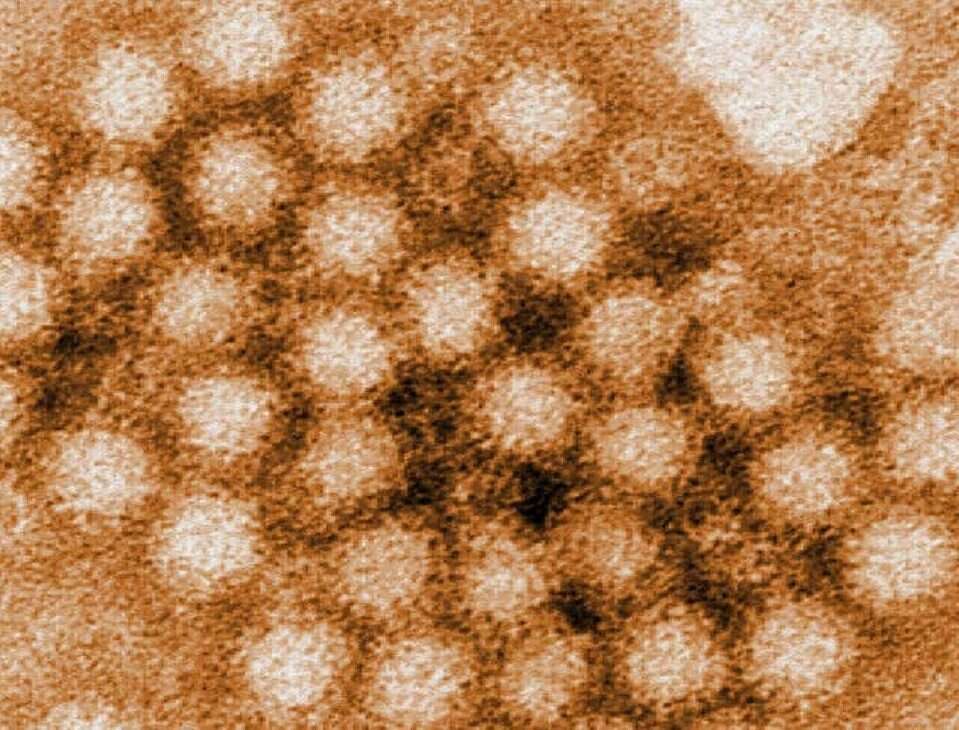 Koniec obostrzeń spowodował powrót "zapomnianych" problemów