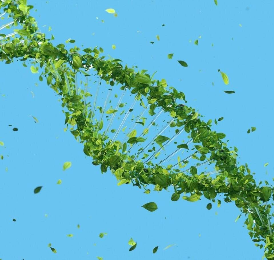 Odzyskali DNA sprzed 15 tysięcy lat. Wystarczyła garść gleby