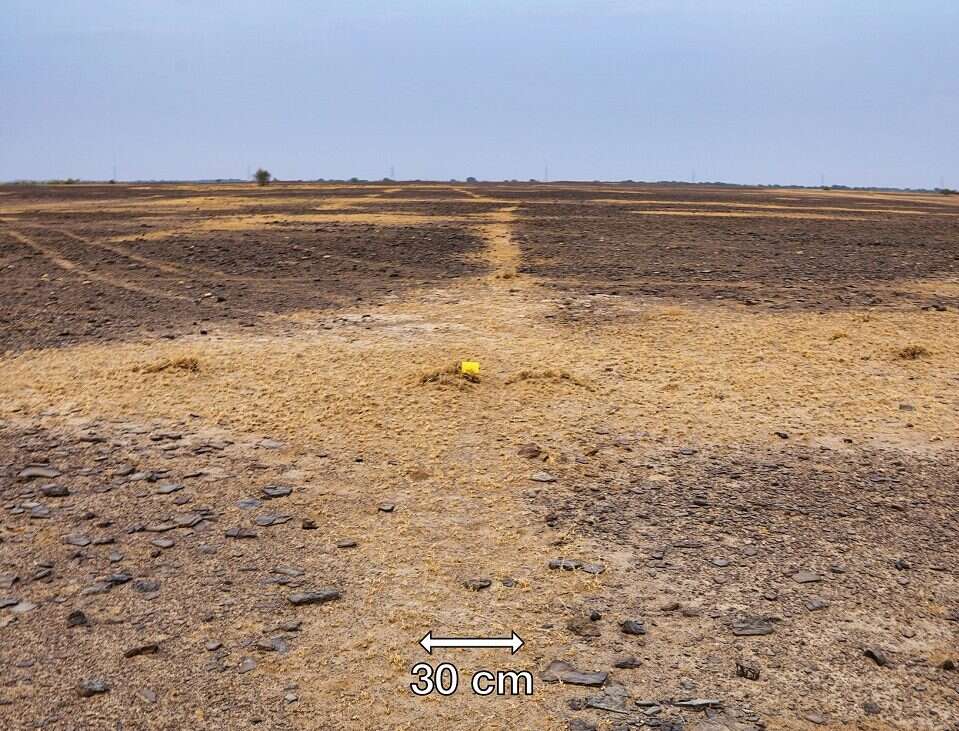 Największy znany geoglif został znaleziony dzięki Google Earth