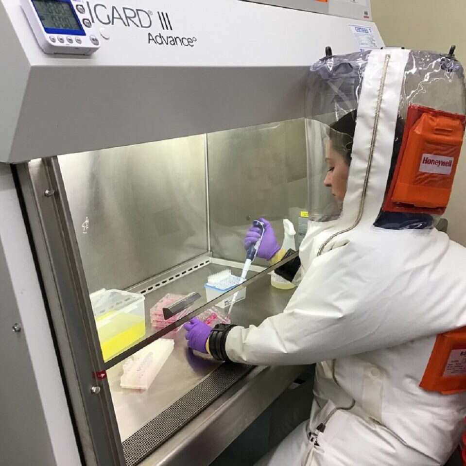 Wirusy mogą uciekać z laboratoriów. Większość krajów niewystarczająco przestrzega zasad bezpieczeństwa