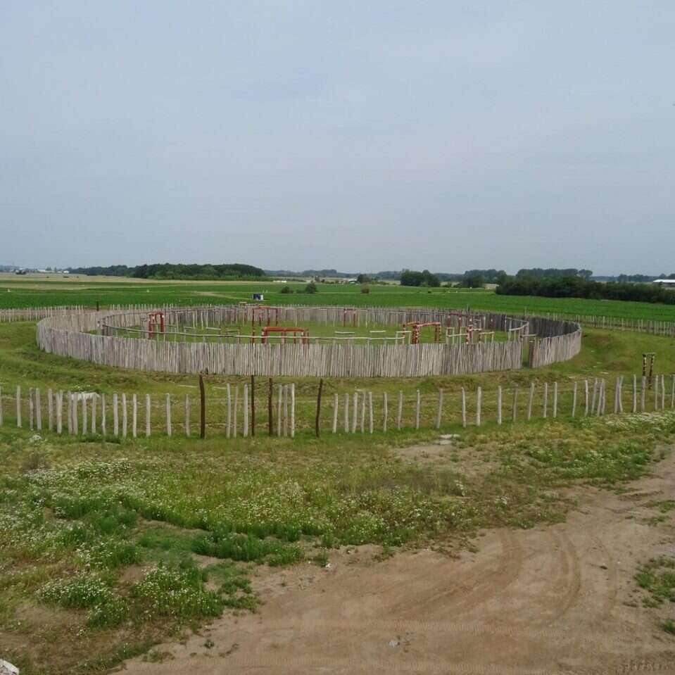 Niemieckie Stonehenge stanowiło miejsce składania ofiar z ludzi. Nowe ustalenia sugerują też inne zastosowania