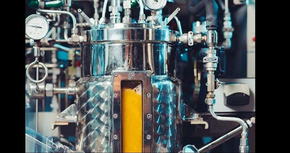 Jak chronić Ziemię? Produkując żywność z użyciem powietrza i elektryczności