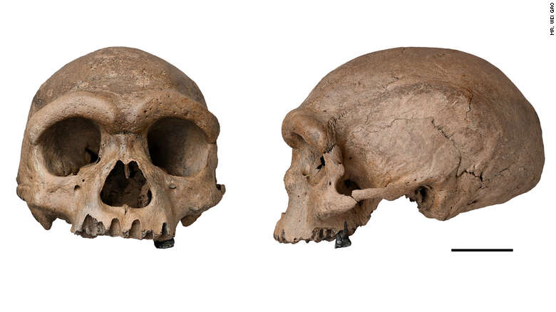 Znaleziono nowy gatunek naszych przodków. Kim był "człowiek smok"?