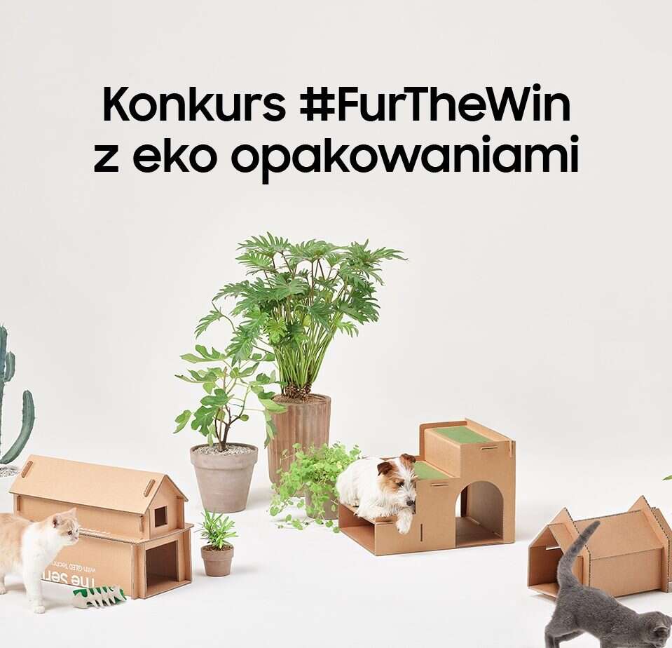 Wykorzystaj karton po telewizorze i wygraj telewizor Samsung The Frame