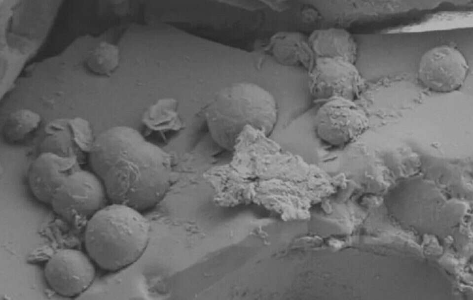 Znaleźli meteoryt sprzed 4,6 mld lat. To rzadki chondryt węglisty