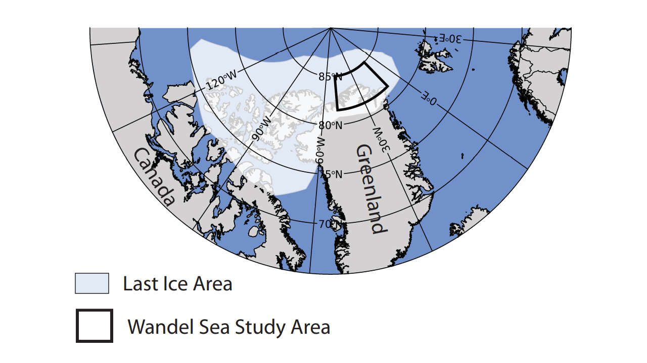 Zmiany klimatu mogą naruszyć nawet ostatni bastion arktycznego lodu
