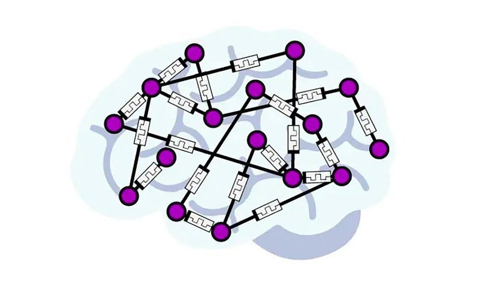 Sieć, która działa niczym mózg. Jej istnienie jest możliwe dzięki "krawędzi chaosu"