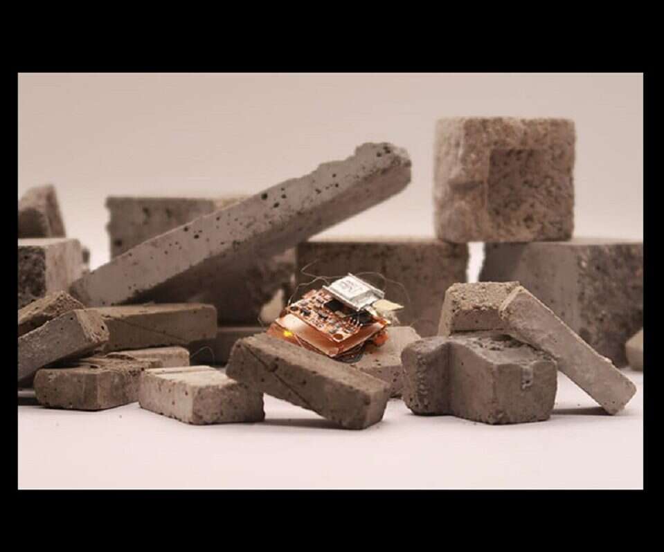 Robot, który zachwyca szybkością i zwinnością. Świat zwierząt po raz kolejny zainspirował naukowców